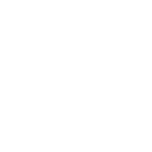 Steady logo