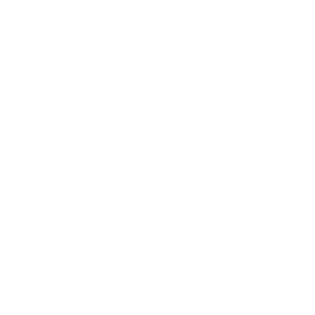 APX logo