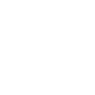 Fireflies.ai logo