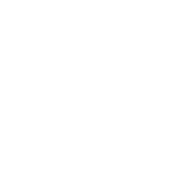 Tally logo